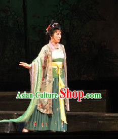 Traditional Chinese Peking Opera Hua Tan Dress Apparel Li Qingzhao Costumes Garment and Headwear