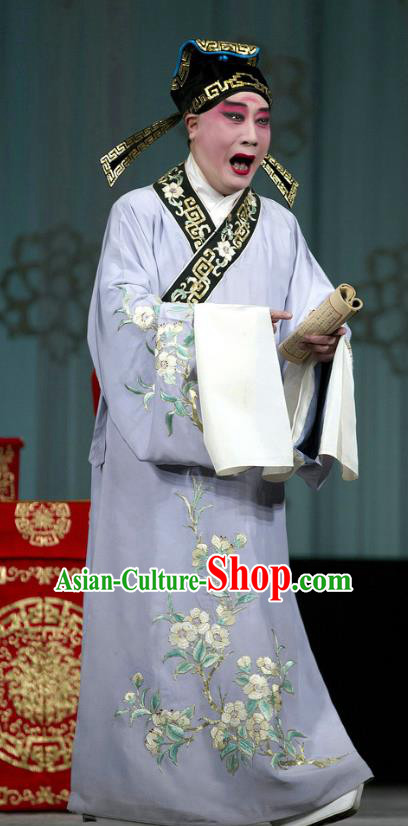 Chinese Beijing Opera Young Male Costumes Garment Peking Opera Return of the Phoenix Apparels Scholar Purple Robe and Hat