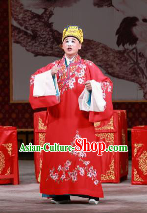 Chinese Beijing Opera Ugly Prince Wedding Costumes Garment Peking Opera Return of the Phoenix Apparels Clown Red Robe and Headwear