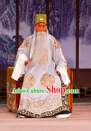 Chinese Beijing Opera Chancellor Garment Peking Opera Judge Bao and the Qin Xianglian Case Apparels Elderly Male Han Qi Costumes and Headwear
