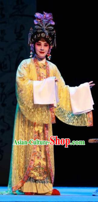 Traditional Chinese Peking Opera Empress Apparels Garment The Revenge of Prince Zi Dan Hua Tan Queen Dress Costumes and Headdress