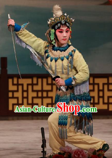 Traditional Chinese Peking Opera Martial Female Wudan Apparels Garment The Fire Fenix Swordplay Dress Costumes and Headwear