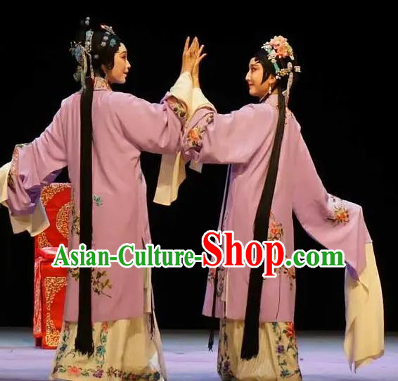 Chinese Kun Opera Apparels Costumes The Fragrant Companion Peking Opera Hua Tan Garment Dress and Hair Ornaments