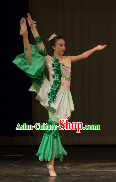 Chinese Traditional Folk Dance Liu Yue Mo Li Green Dress Classical Dance Stage Performance Costume for Women