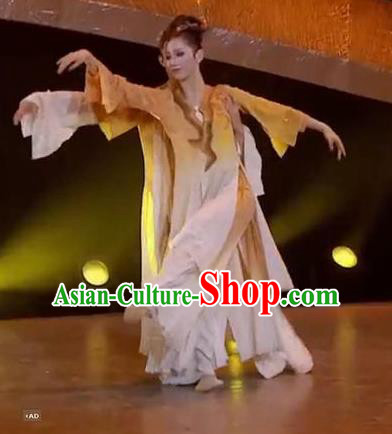 Chinese Zhi Qiu Classical Dance Dress Traditional Dance Stage Performance Costume for Women