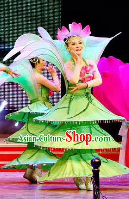 Chinese Lotus Dance Green Dress Traditional Classical Dance Stage Performance Costume for Women