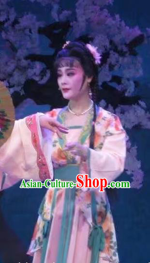 Chinese Shaoxing Opera Xiaodan Dress Costumes and Headpieces Li Hua Qing Yue Opera Servant Girl Garment Apparels