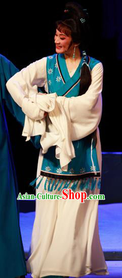 Chinese Shaoxing Opera Civilian Female Costumes and Headpieces Li Hua Qing Yue Opera Hua Tan Apparels Dress Garment