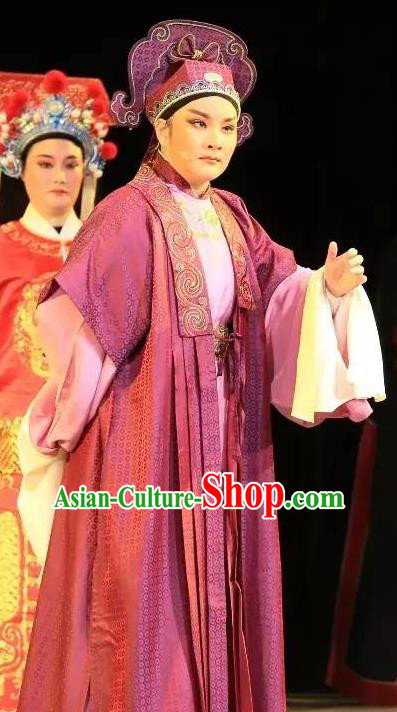 He Wenxiu Chinese Yue Opera Bully Young Male Zhang Tang Garment and Headwear Shaoxing Opera Scholar Costumes Apparels