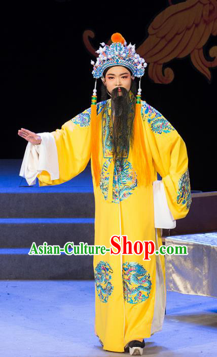 Palm Civet for Prince Chinese Yue Opera Elderly Male Costumes and Headwear Shaoxing Opera Song Zhenzong Ceremonial Robe Emperor Garment Apparels