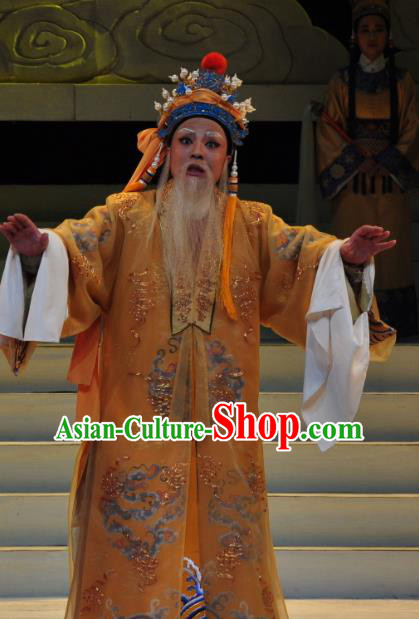 Chinese Yue Opera Elderly Male Garment Palm Civet for Prince Costumes and Headwear Shaoxing Opera Apparels Emperor Embroidered Robe