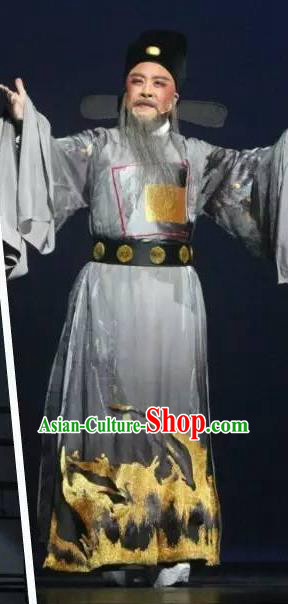 Chinese Yue Opera Old Man Official Garment and Hat Shaoxing Opera Laosheng Qing Teng Kuang Ge Elderly Male Hu Zongxian Apparels Costumes