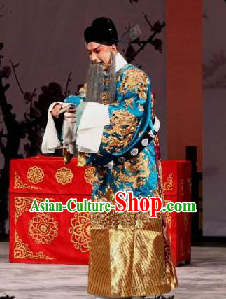 Chinese Beijing Opera Elderly Male Apparels Zhu Lian Zhai Peking Opera Garment Costumes Official Python Embroidered Robe and Hat