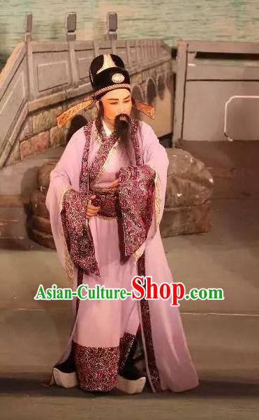 Chinese Yue Opera Ministry Councillor Baihua River Apparels Ling Bing Costumes and Headwear Shaoxing Opera Laosheng Elderly Male Garment