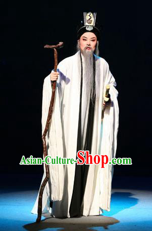 Chinese Yue Opera Old Man Apparels Costumes and Headwear Da Mo Li Ge Shaoxing Opera Elderly Male Garment