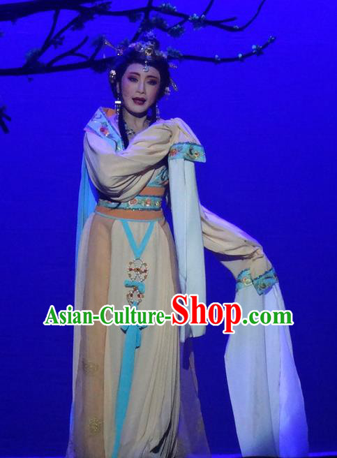 Chinese Shaoxing Opera Patrician Lady Dress Shuang Fei Yi Apparels Yue Opera Hua Tan Garment Wang Yanmei Costumes and Hair Accessories