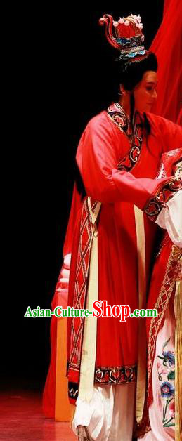 Chinese Shaoxing Opera Official Red Garment Yue Opera The Peacocks Fly To The Southeast Apparels Male Wedding Costumes and Headpieces