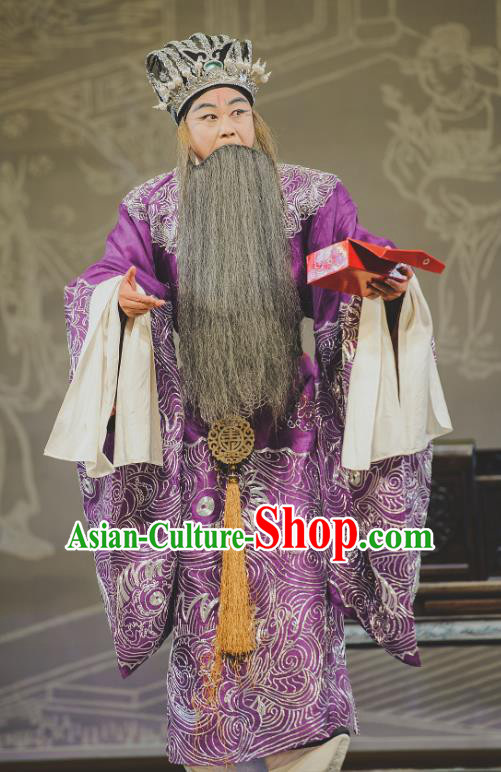 Chinese Classical Kun Opera Elderly Male Garment and Hat The Purple Hairpin Peking Opera Lao Sheng Costumes Chancellor Purple Apparels