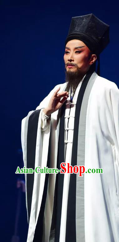 Chinese Yue Opera Laosheng Apparels and Headwear Shaoxing Opera Elderly Male Wang Yangming Garment Costumes