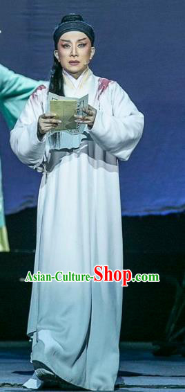 Wang Yangming Chinese Yue Opera Young Male Costumes and Headwear Shaoxing Opera Scholar Garment Apparels