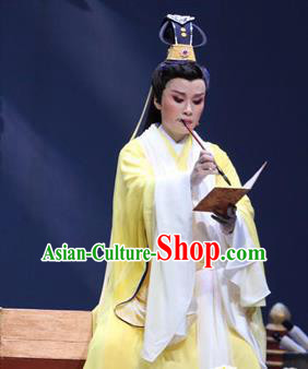 Chinese Yue Opera Scholar Wang Huizhi Wu Yi Lane Garment Costumes and Headwear Shaoxing Opera Xiaosheng Young Male Apparels