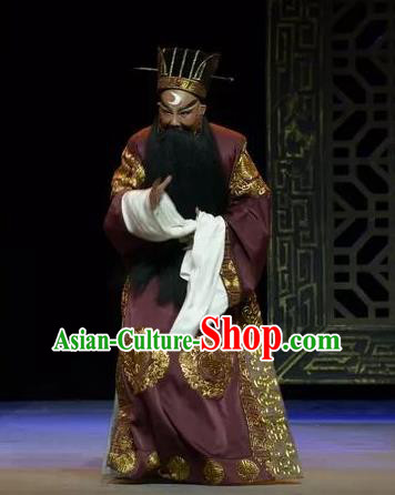 Chinese Yue Opera Laosheng Elderly Male Baozheng Tears Apparels and Hat Shaoxing Opera Garment Costumes Official Robe Vestment