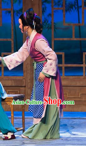 Chinese Shaoxing Opera Ren Heart Medicine Young Mistress Dress Costumes and Headpieces Yue Opera Actress Country Woman Apparels Garment