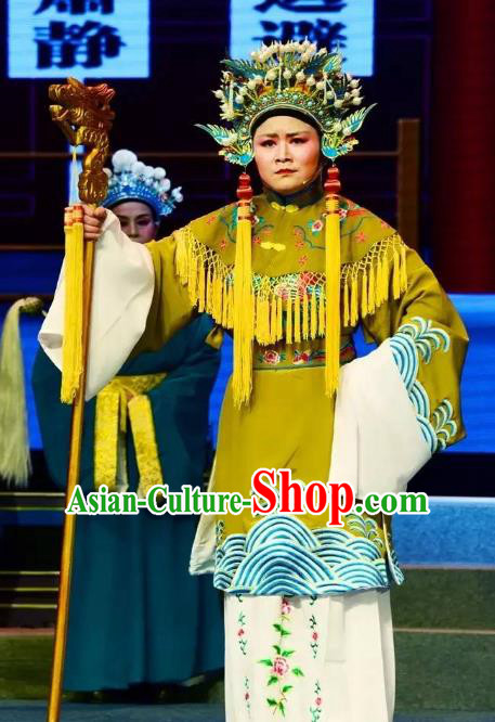 Chinese Shaoxing Opera Elderly Female Dress Garment and Headdress Tian Dao Zheng Yi Yue Opera Dowager Countess Laodan Apparels Costumes