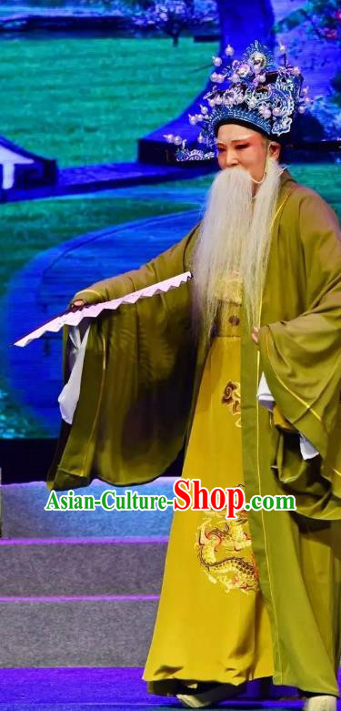 Chinese Yue Opera Elderly Man Costumes and Headwear Shaoxing Opera Tian Dao Zheng Yi Laosheng Apparels Chancellor Han Qi Official Robe Garment