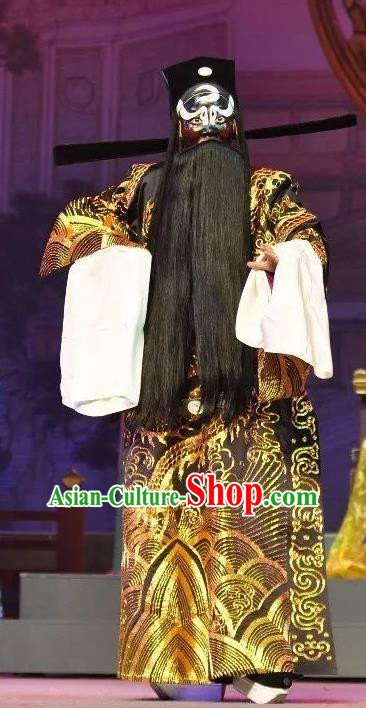 Palm Civet for Prince Chinese Yue Opera Laosheng Costumes and Headwear Shaoxing Opera Elderly Male Garment Apparels Embroidered Robe