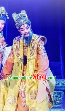 Cang Sheng Chinese Yue Opera Laosheng Elderly Male Apparels and Headwear Shaoxing Opera Emperor Qian Liu Garment Costumes