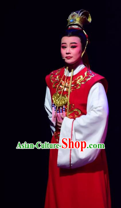 Chinese Yue Opera Xiao Sheng Apparels and Headwear Hu Po Yuan Shaoxing Opera Young Male Scholar Wan Zi Garment Costumes