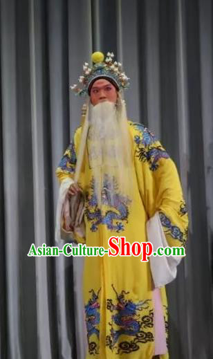 Bai Sui Gua Shuai Chinese Yue Opera Laosheng Apparels and Headwear Shaoxing Opera Elderly Male Garment Emperor Costumes