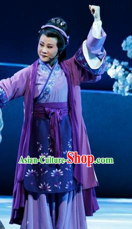 Chinese Shaoxing Opera Elderly Female Dress Costumes and Headpieces Bai Yun Yuan Yue Opera Laodan Garment Apparels
