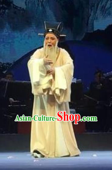 The Orphan of Zhao Chinese Yue Opera Elderly Male Garment Costumes and Headwear Shaoxing Opera Minister Gongsun Chujiu Apparels