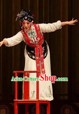 Chinese Kun Opera Young Female Dress Costumes Apparels and Headpieces Heros Kunqu Opera Country Woman Pan Jinlian Garment