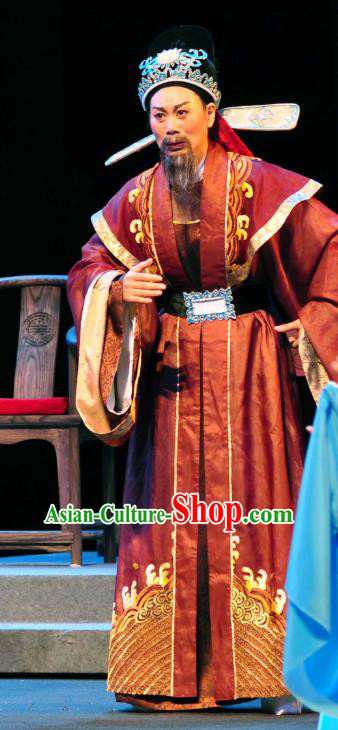 Chinese Yue Opera Ministry Councillor Garment Clothing and Headwear Shaoxing Opera Zhang Lun Elderly Male Apparels Costumes