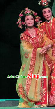 Chinese Shaoxing Opera Royal Princess Rong Hua Dream Dress Apparels Costumes and Headpieces Yue Opera Actress Garment