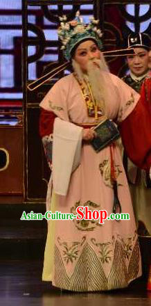 Mei Long Zhen Chinese Yue Opera Old Man Garment and Headwear Shaoxing Opera Elderly Chancellor Costumes