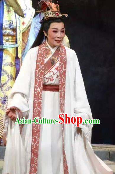 Chinese Yue Opera Xiaosheng Dong Wenbo Garment Clothing and Headwear Rong Hua Dream Shaoxing Opera Young Male Apparels Costumes