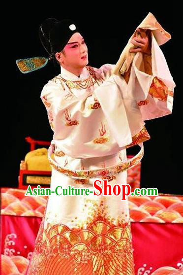 Bai Luo Shan Chinese Kun Opera Number One Scholar Xu Jizu Apparels Garment Costumes and Headwear Kunqu Opera Xiaosheng Clothing Embroidered Robe