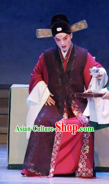 Bai Luo Shan Chinese Kun Opera Young Man Xu Jizu Apparels Garment Costumes and Headwear Kunqu Opera Scholar Clothing