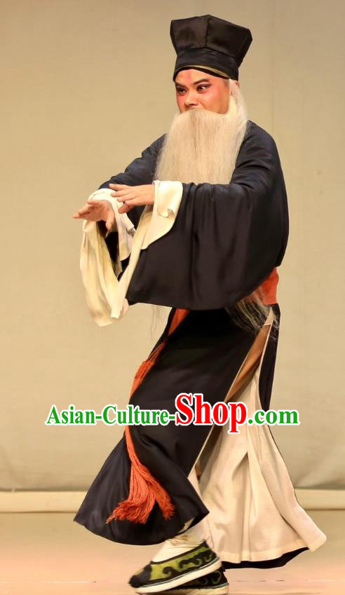 Bai Luo Shan Chinese Kun Opera Old Servant Yao Da Apparels Garment Costumes and Headwear Kunqu Opera Laosheng Clothing