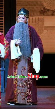 Chinese Kun Opera Apparels Garment Costumes and Headwear the Legend of Washing the Silk Gauze Kunqu Opera Laosheng Old Man Clothing