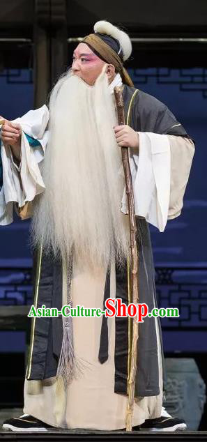 the Legend of Washing the Silk Gauze Chinese Kun Opera Elderly Male Apparels Garment Costumes and Headwear Kunqu Opera Old Man Clothing