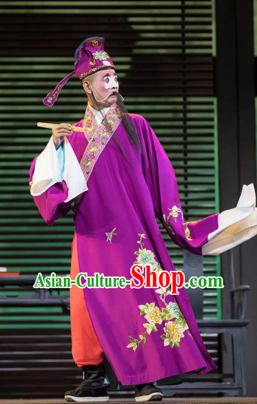 Chinese Kun Opera Chou Apparels Garment Costumes and Headwear the Legend of Washing the Silk Gauze Kunqu Opera Clown Purple Clothing