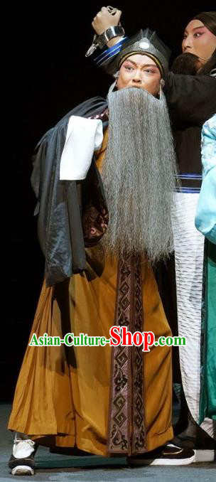 Chinese Kun Opera Elderly Man Apparels Garment Costumes and Headwear the Legend of Washing the Silk Gauze Kunqu Opera Laosheng Wei Liangfu Clothing