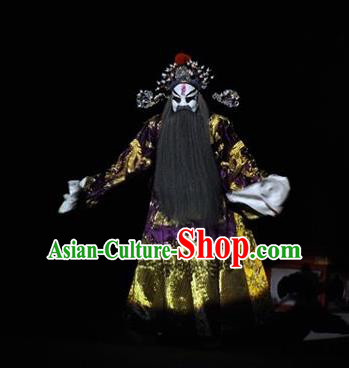 The Tale of Handan Chinese Kun Opera Laosheng Apparels and Headwear Kunqu Opera Garment Costumes Prime Minister Embroidered Robe