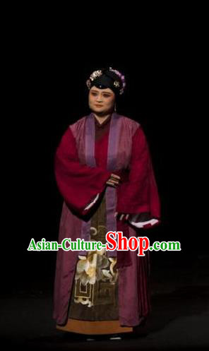 Chinese Kun Opera Laodan Apparels Costumes and Headpieces Romance Juliet Kunqu Opera Elderly Female Pantaloon Dress Garment