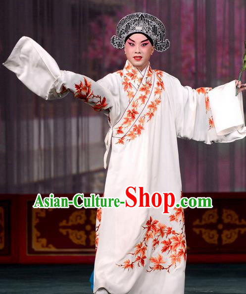 Dream in The Garden Chinese Kun Opera Young Scholar Liu Mengmei Costumes and Headwear Kunqu Opera Xiaosheng Garment Apparels